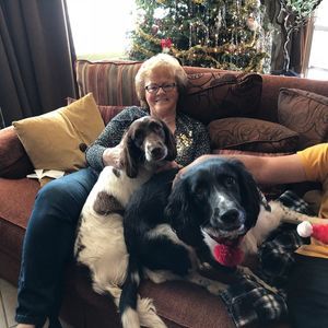 Meet your Posher, Jean